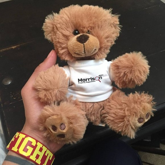 Brown Bear Plush Stuffed Animal - Picture 1 of 5